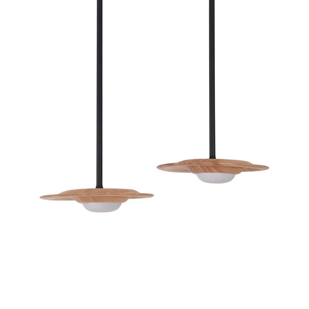 Haevesca Pendant Light