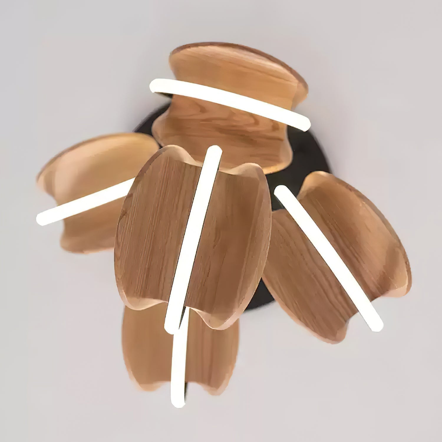 Volimeza Ring Shape Pendant Light