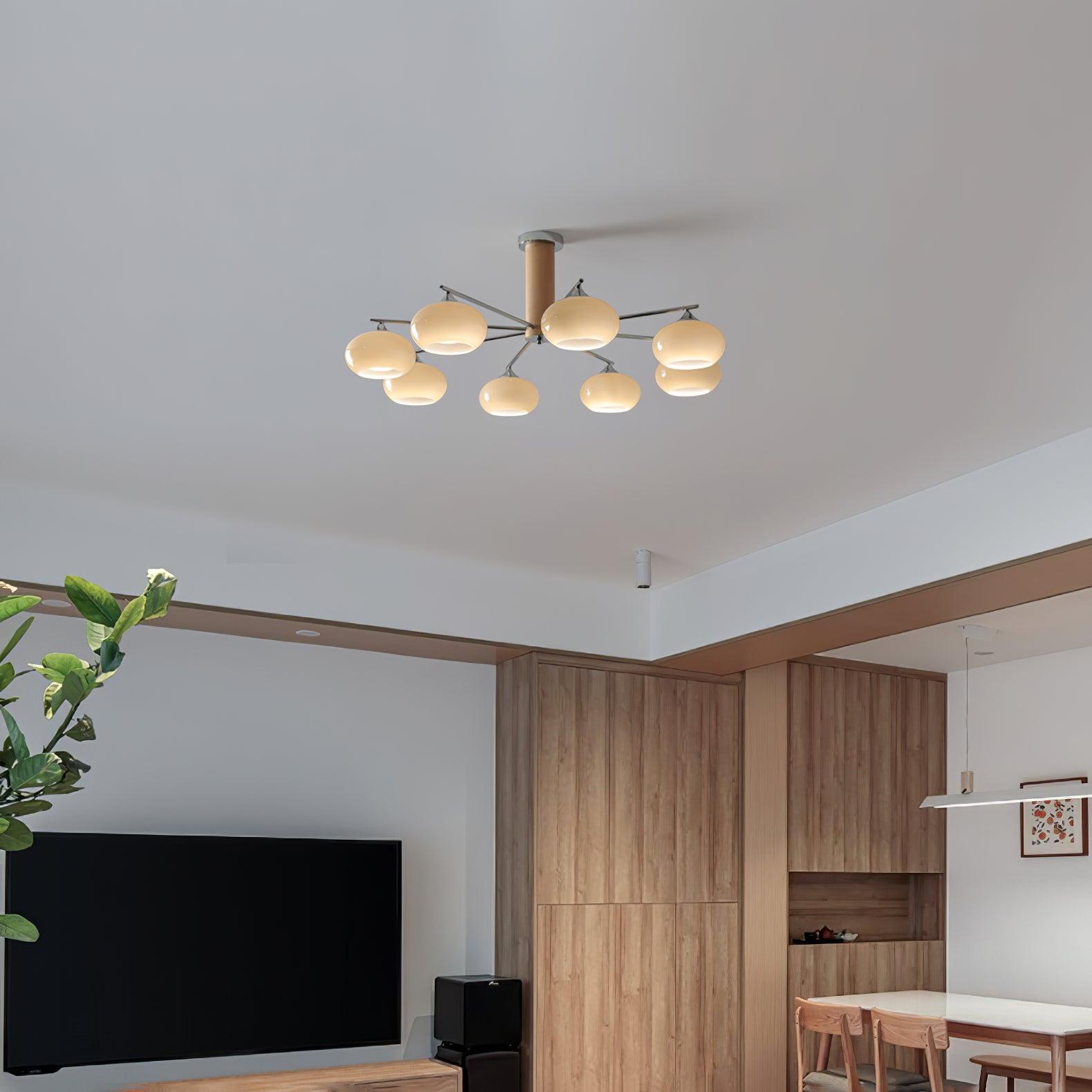 Elotycal Ceiling Light