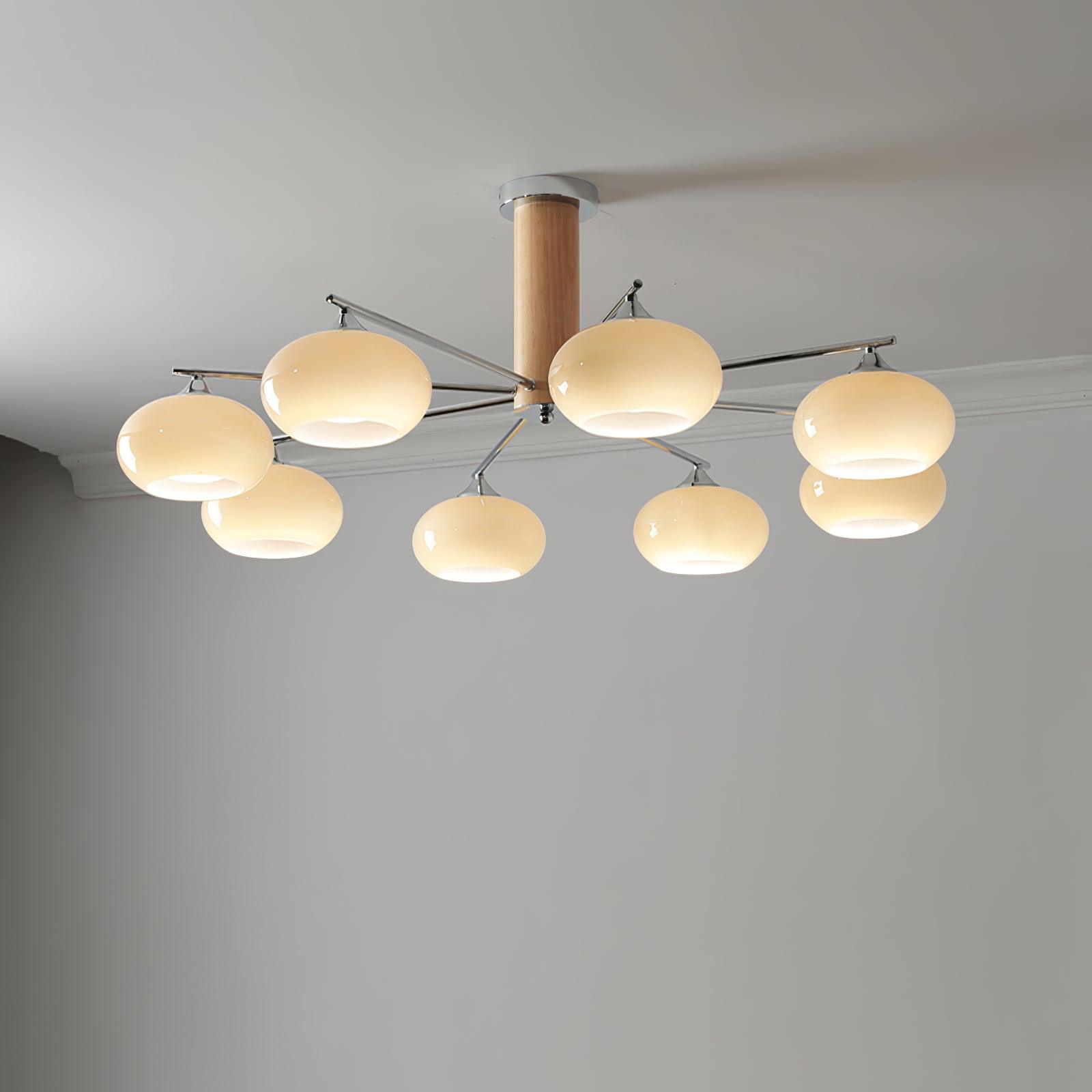 Elotycal Ceiling Light