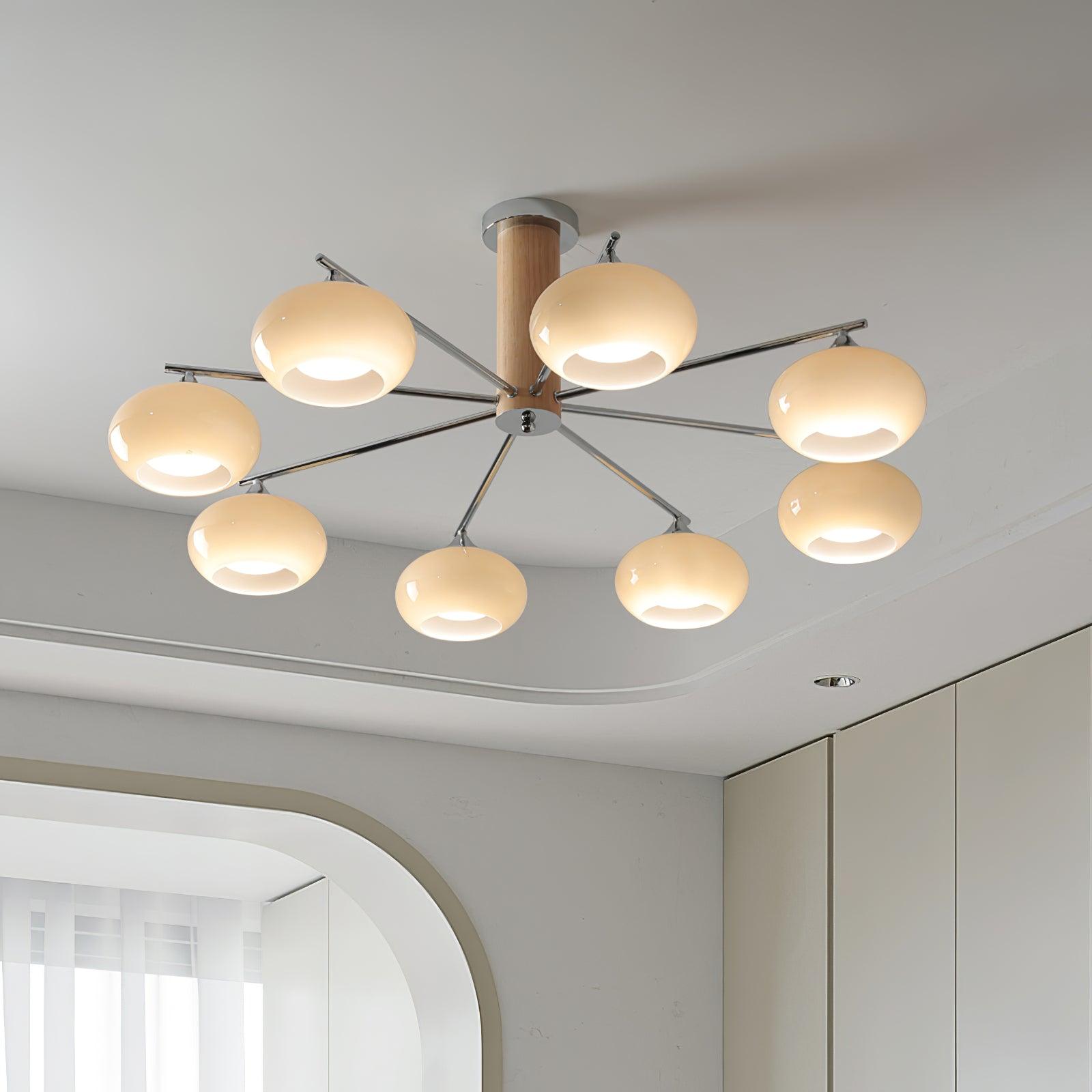 Elotycal Ceiling Light