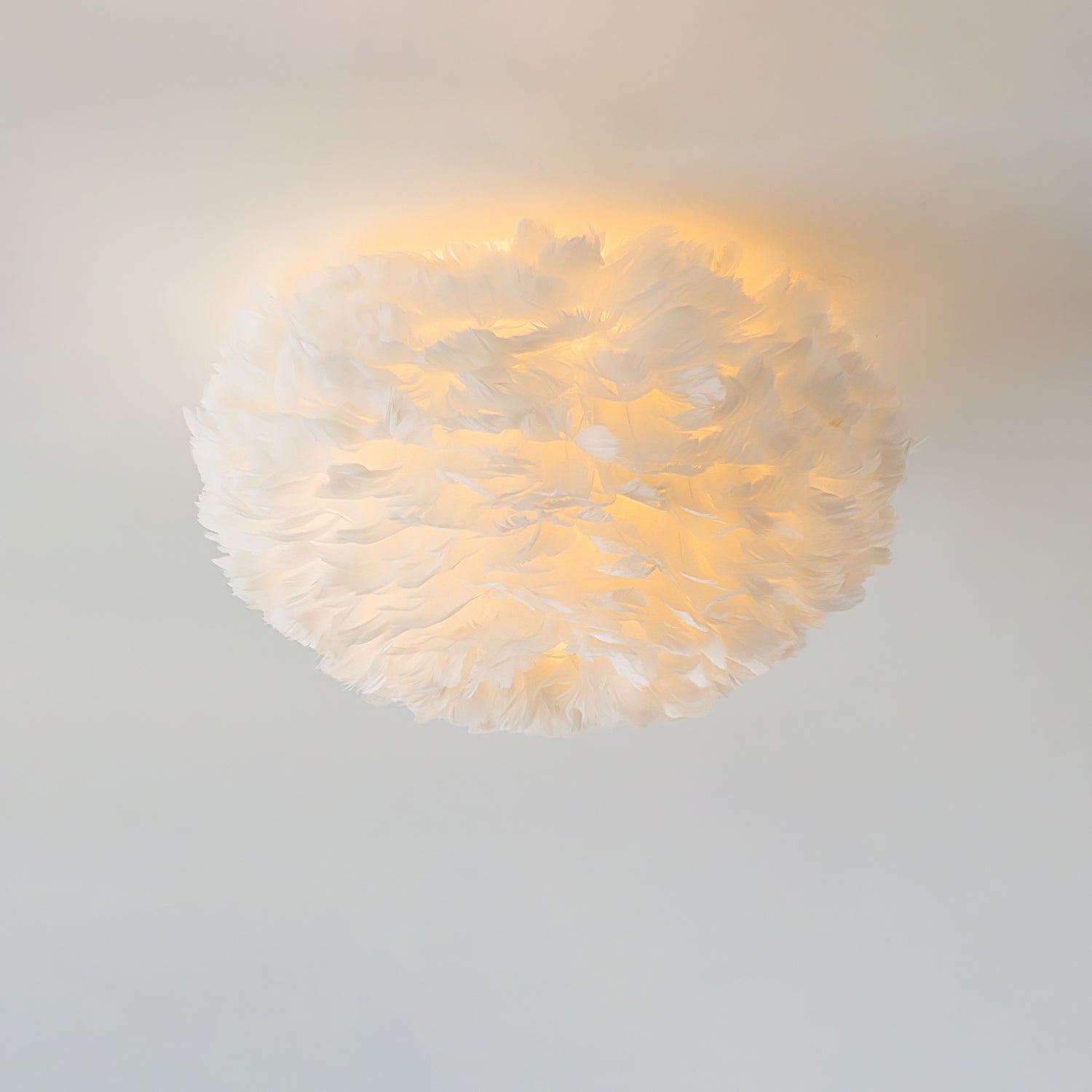 Feather Design Ceiling Light