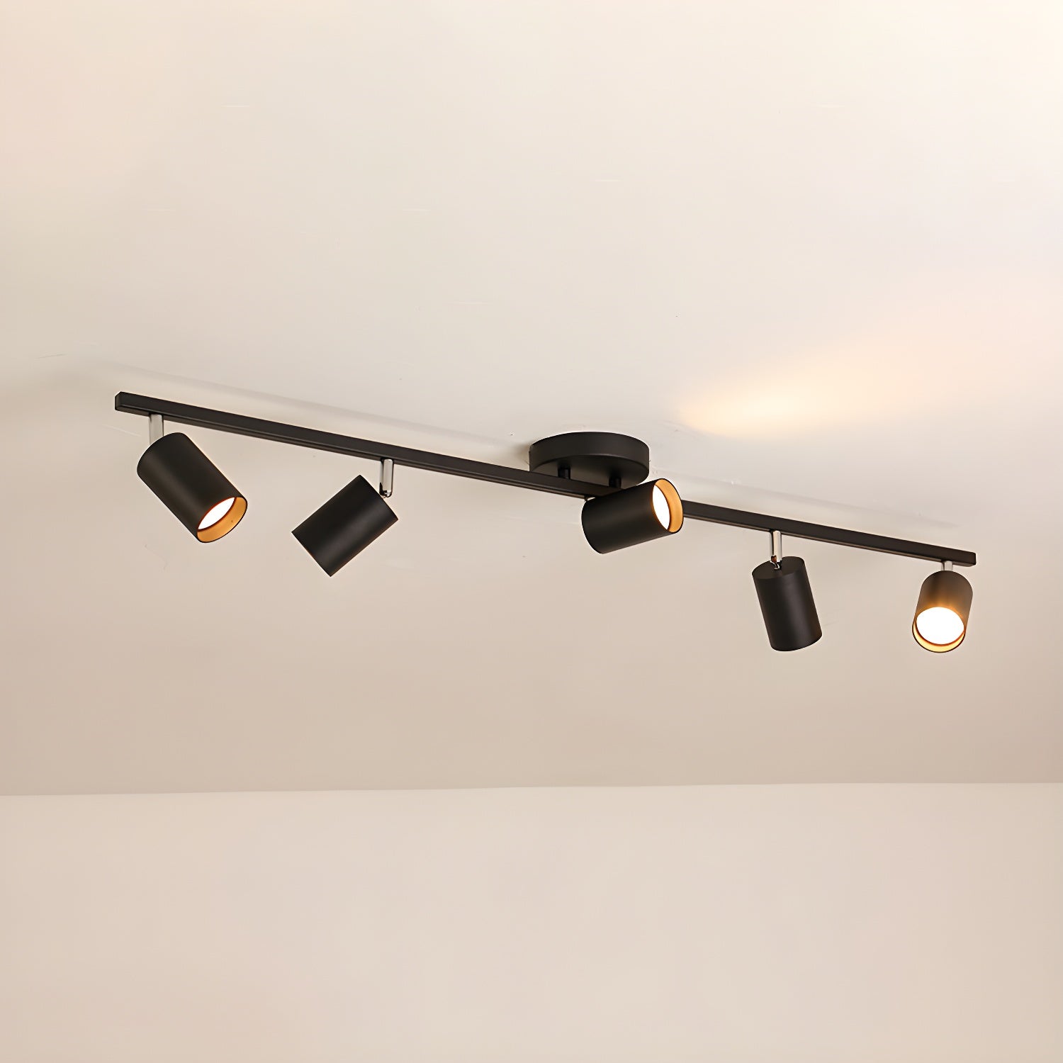 Elovane Ceiling Light