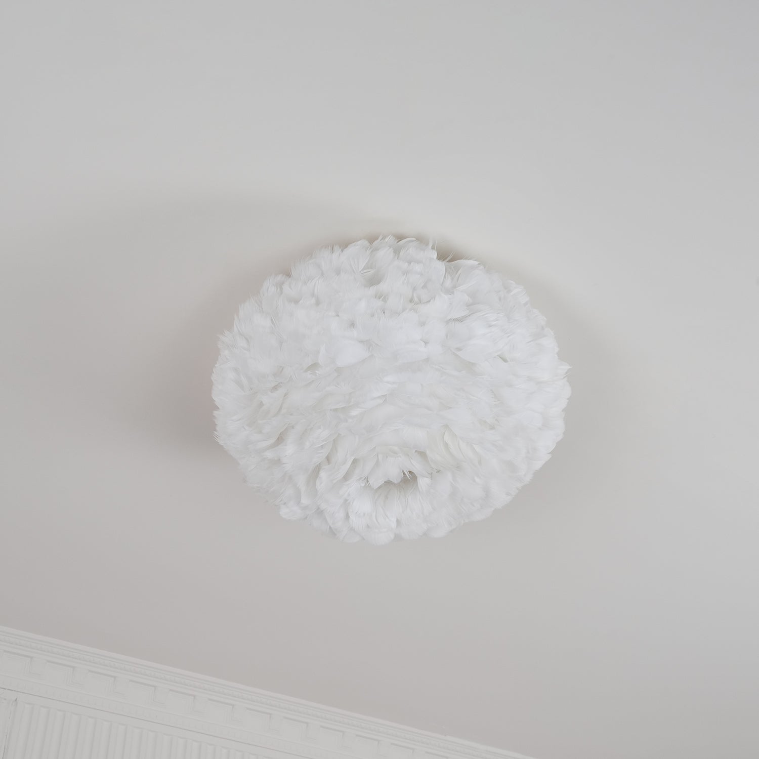 Feather Design Ceiling Light