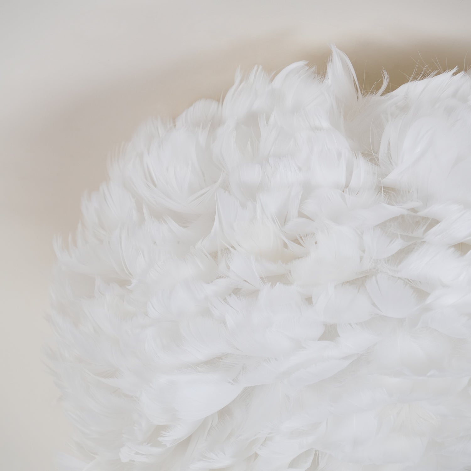 Feather Design Ceiling Light