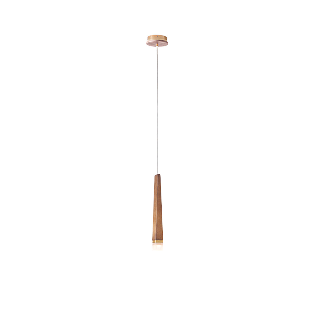 Firelighter Pendant Light