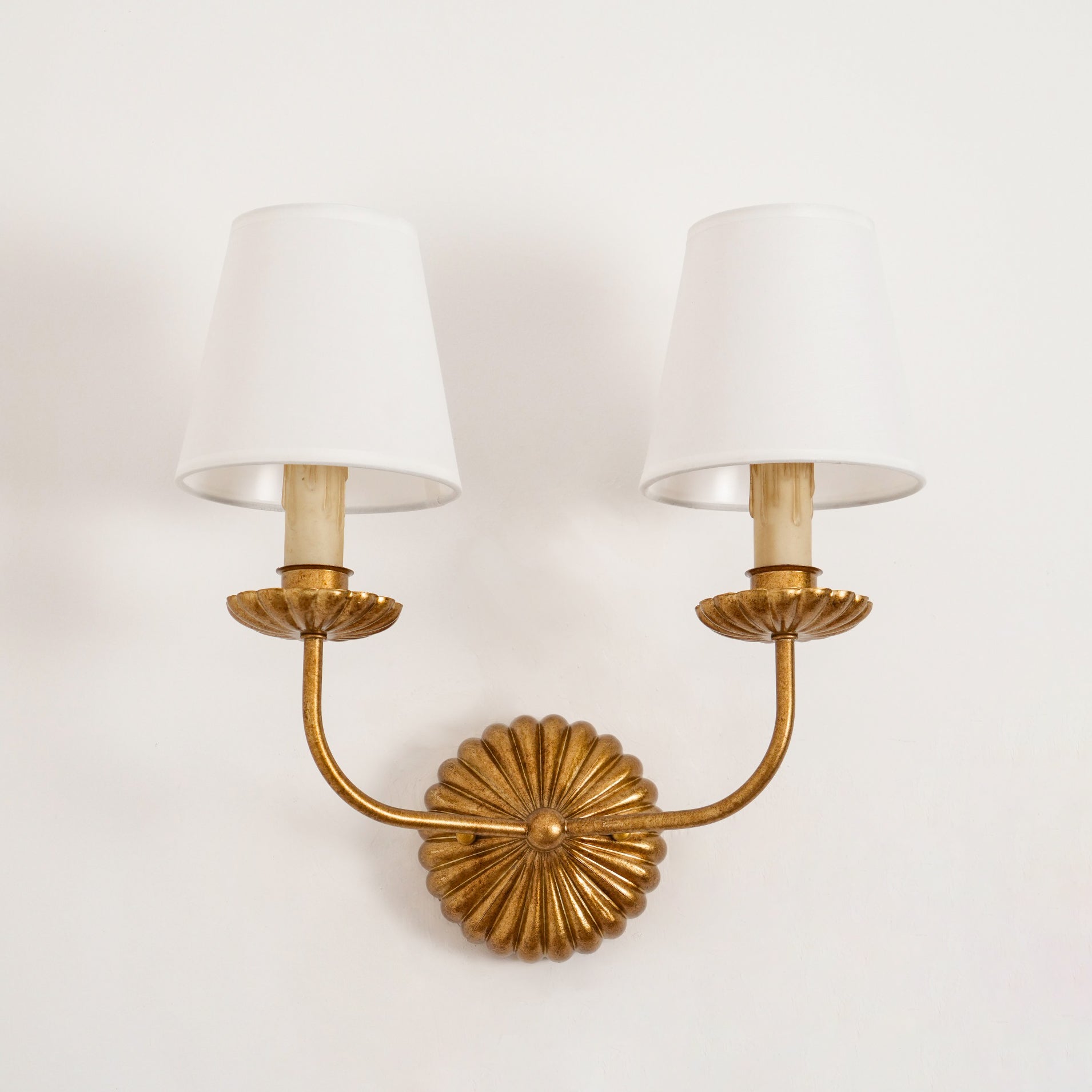 Sterve Wall Light