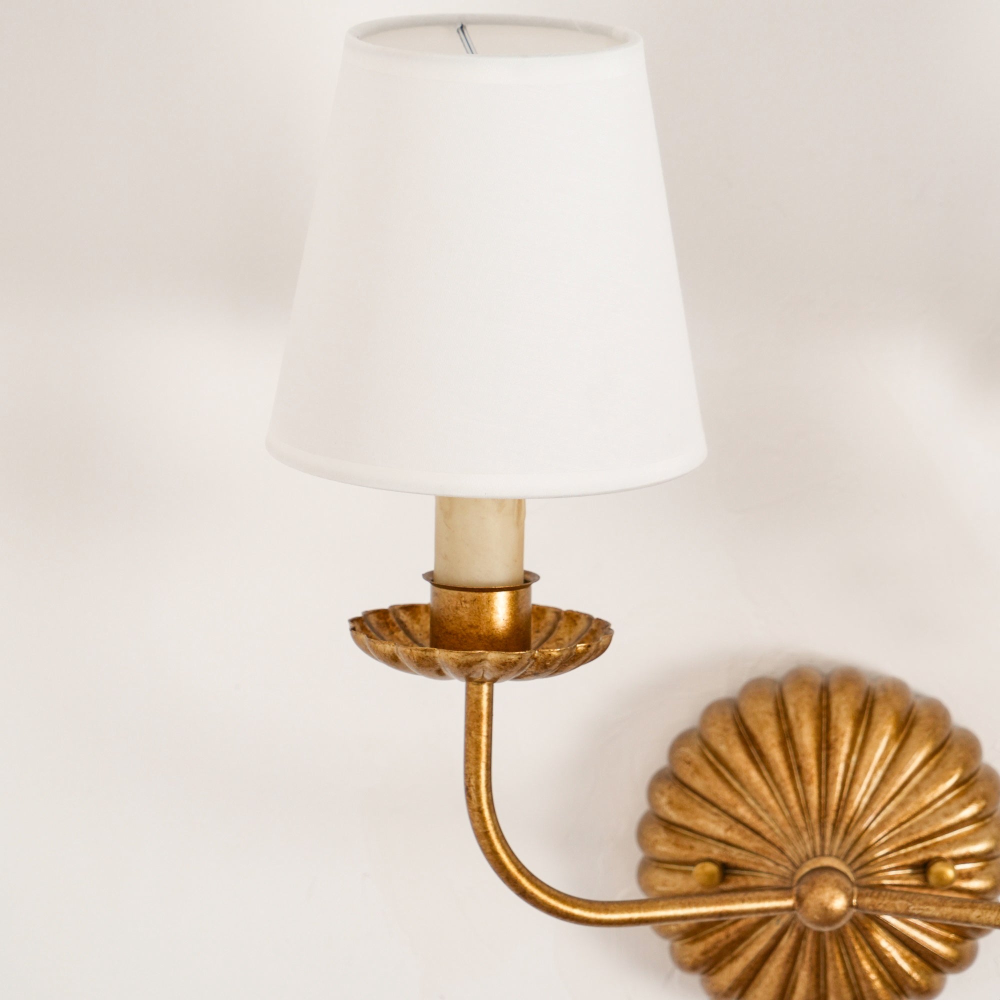 Sterve Wall Light