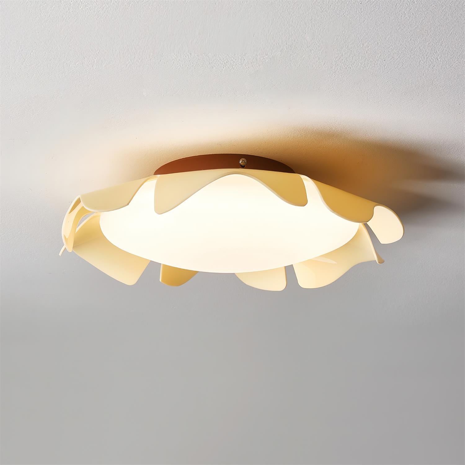 Fleiza Ceiling Light