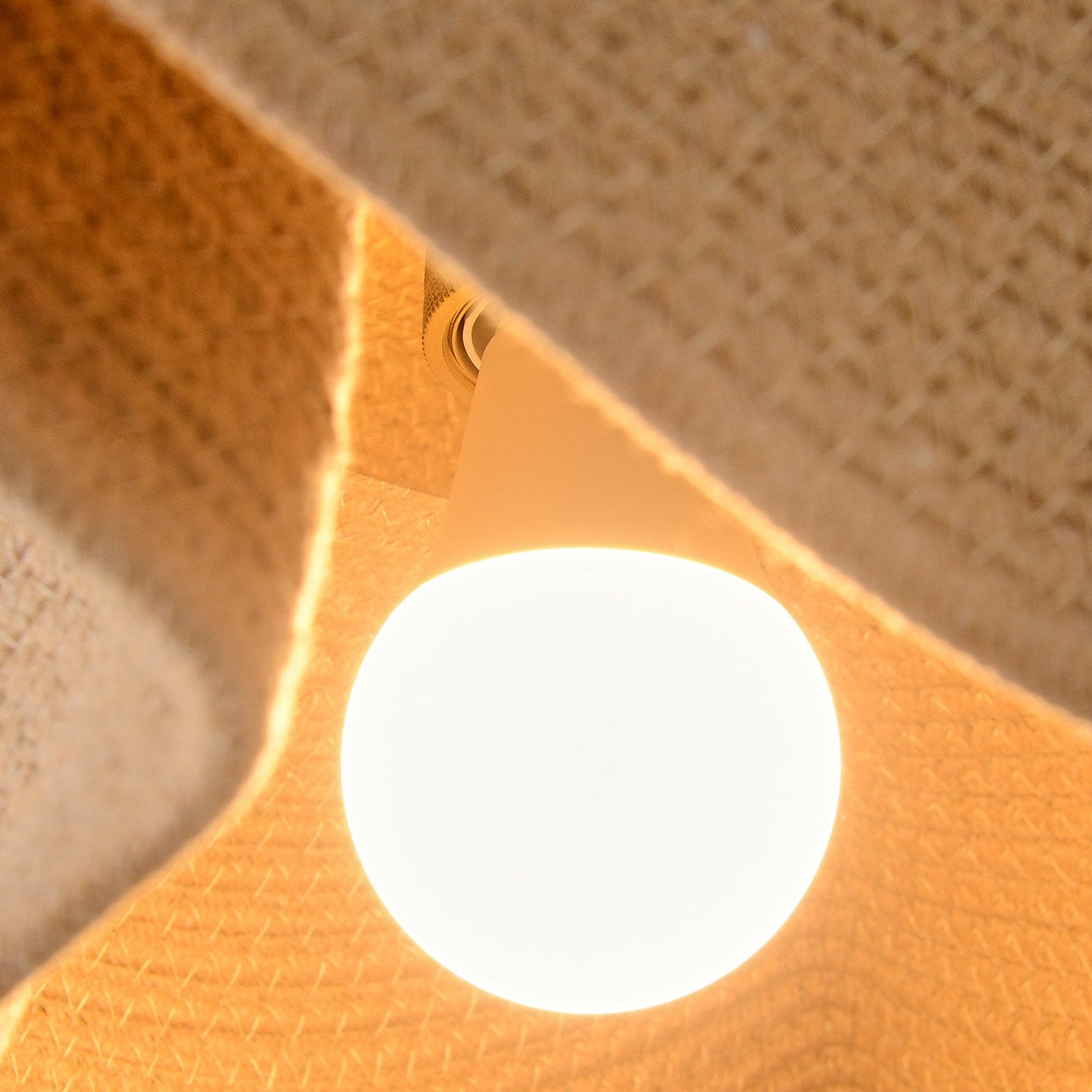 Forasy Pendant Light