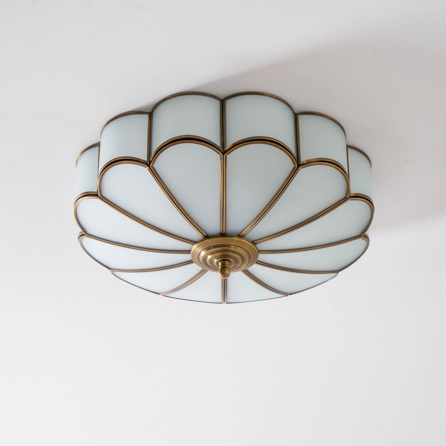 Hawve Flower Ceiling Light