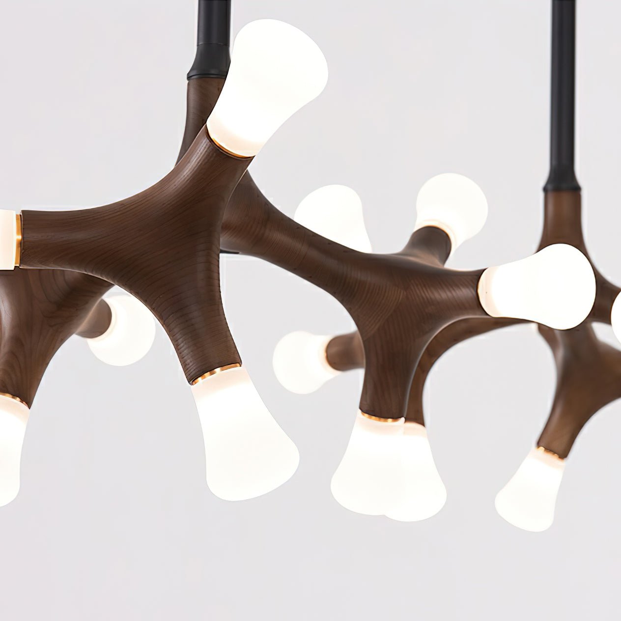Bonewood Pendant Light