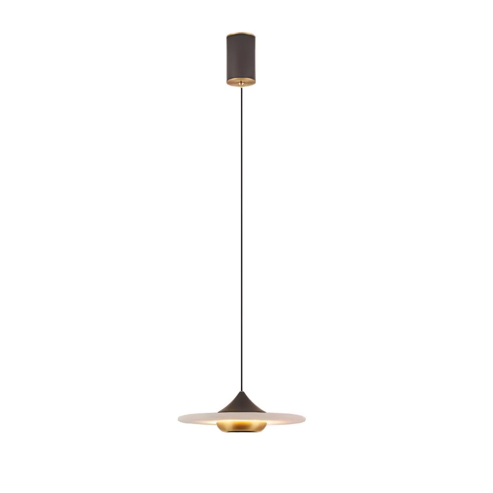 Plaque Pendant Light