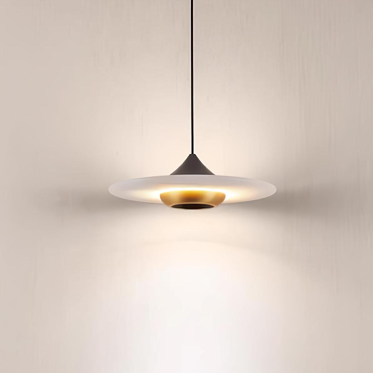 Plaque Pendant Light