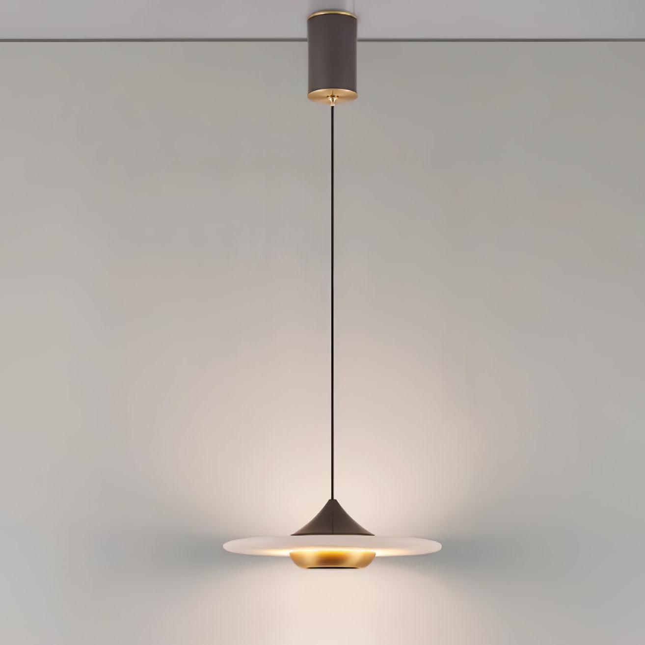 Plaque Pendant Light