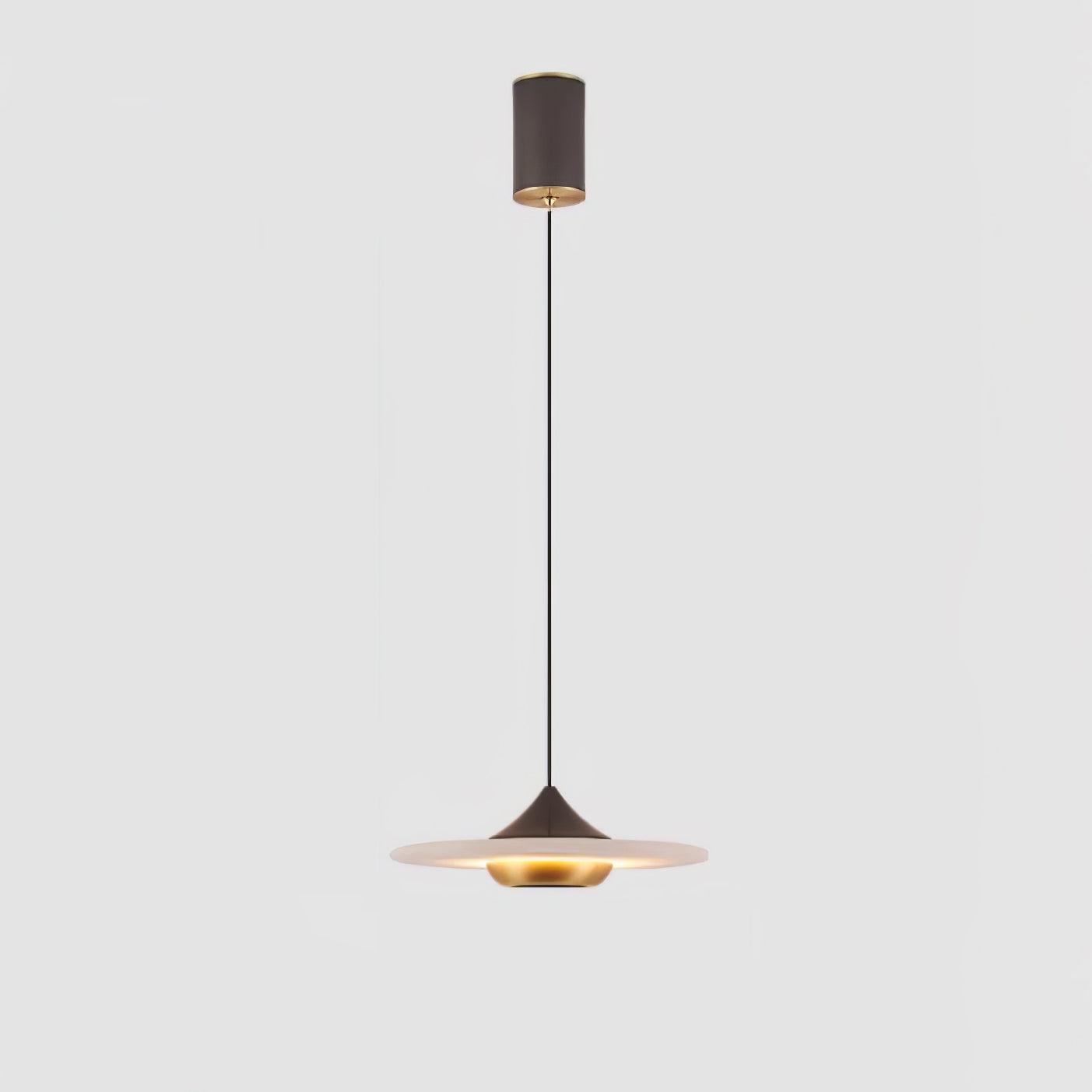 Plaque Pendant Light