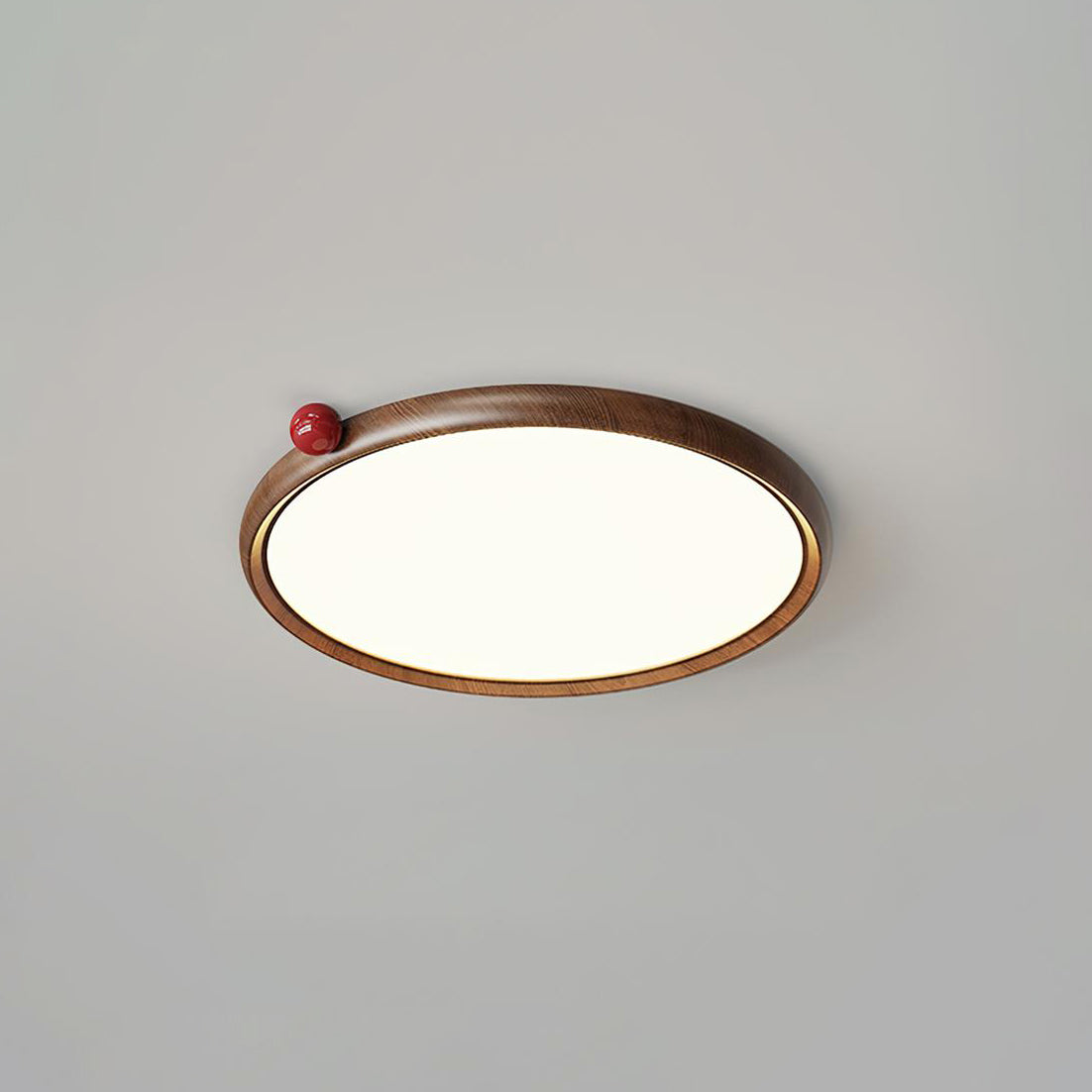 Geones Ceiling Light