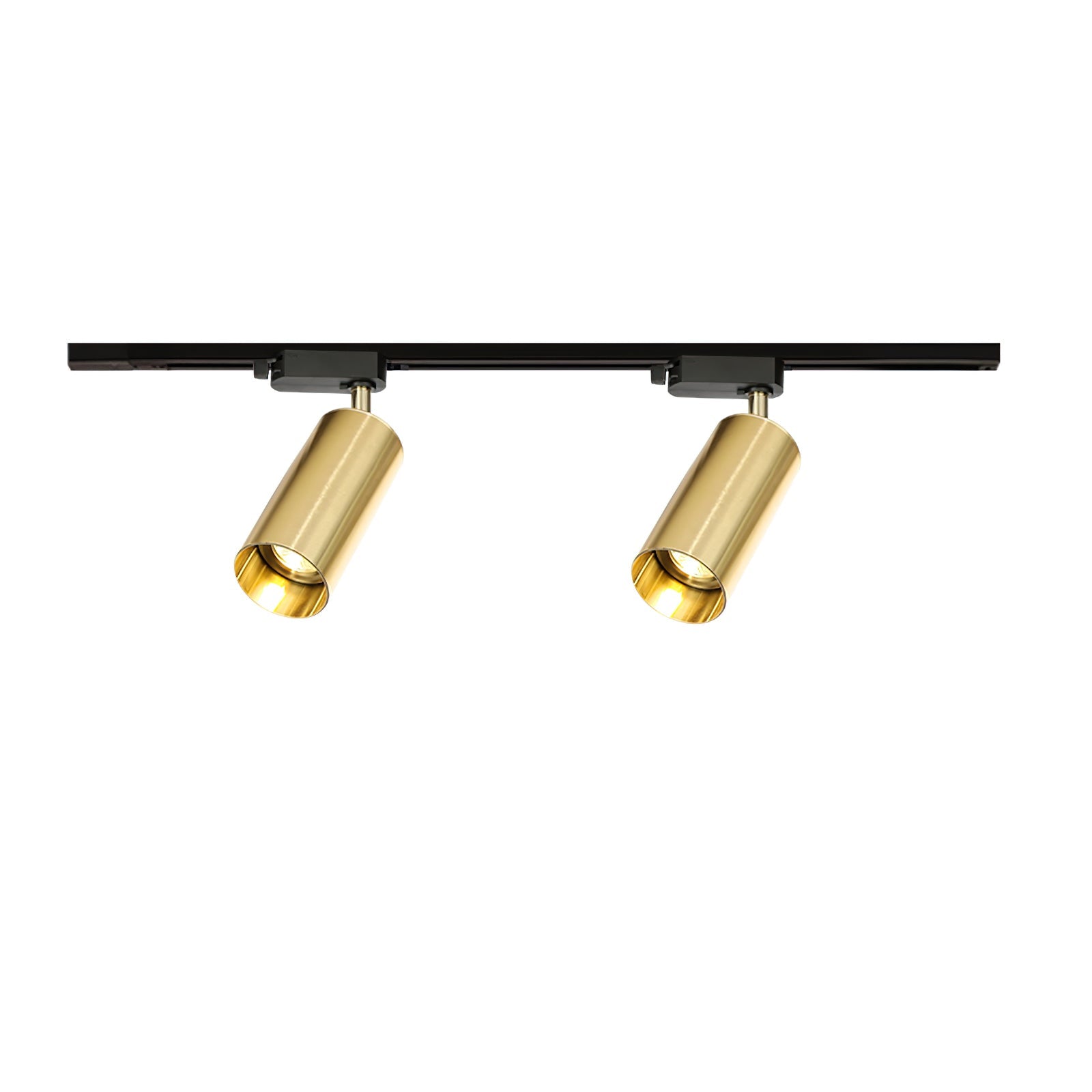 Gildezzo Ceiling Light