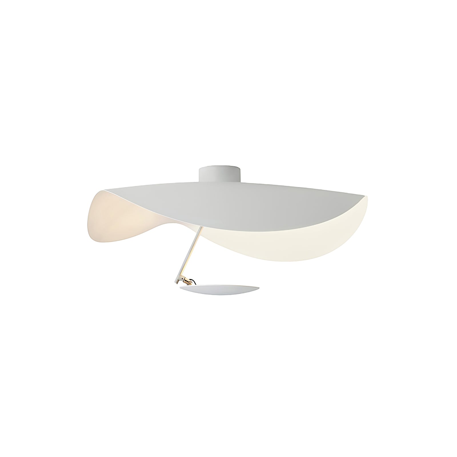 Georgoa Ceiling Light