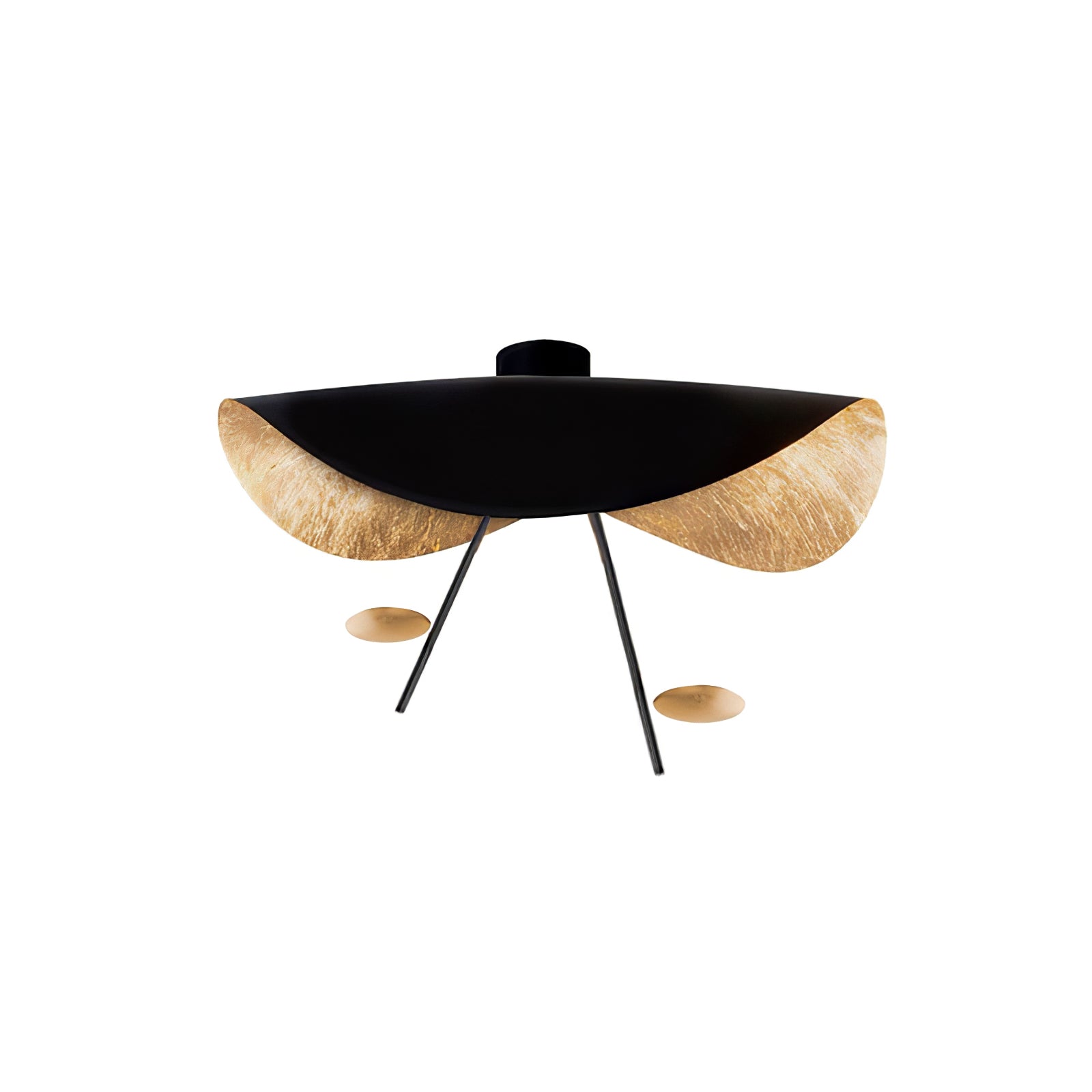 Georgoa Ceiling Light