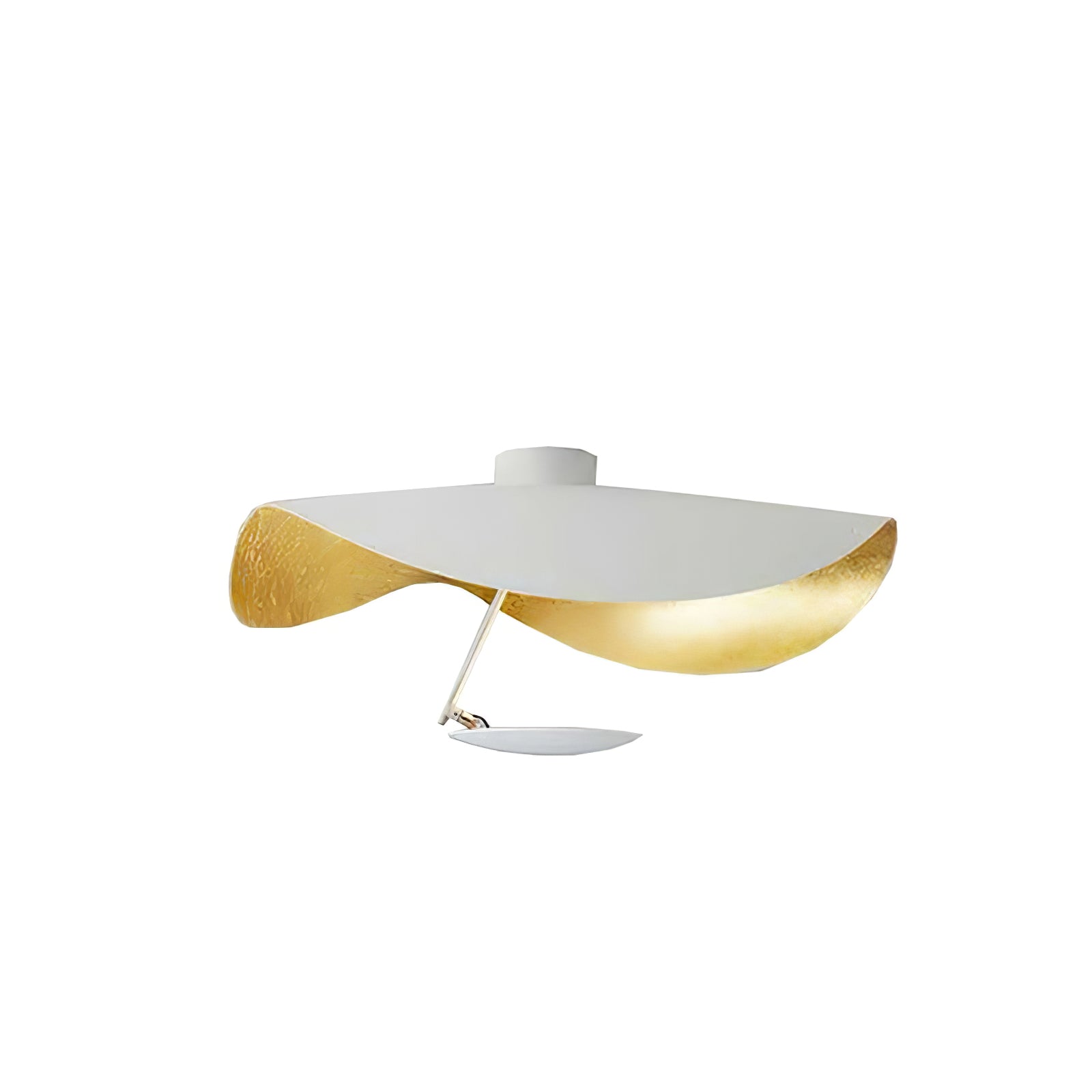 Georgoa Ceiling Light