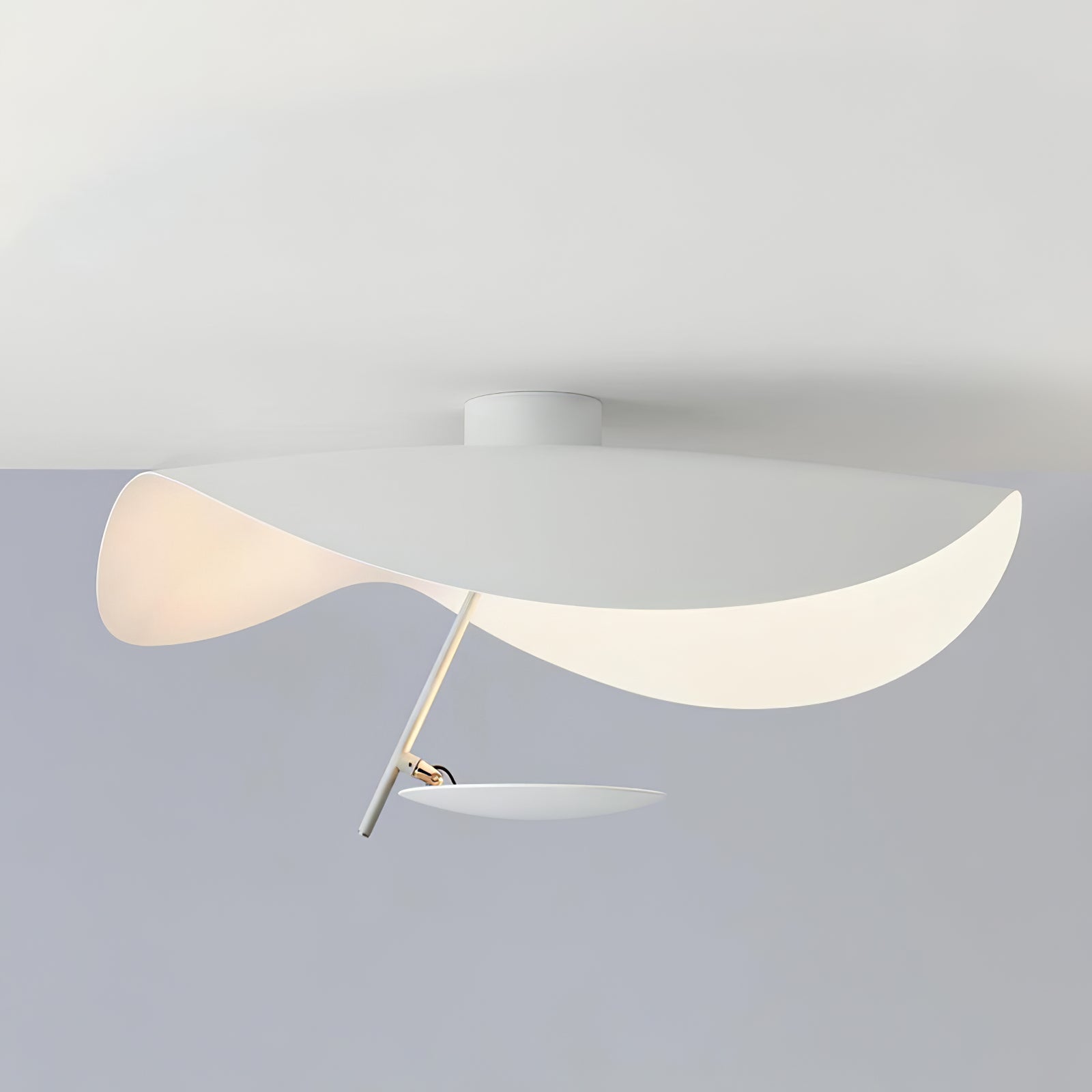 Georgoa Ceiling Light