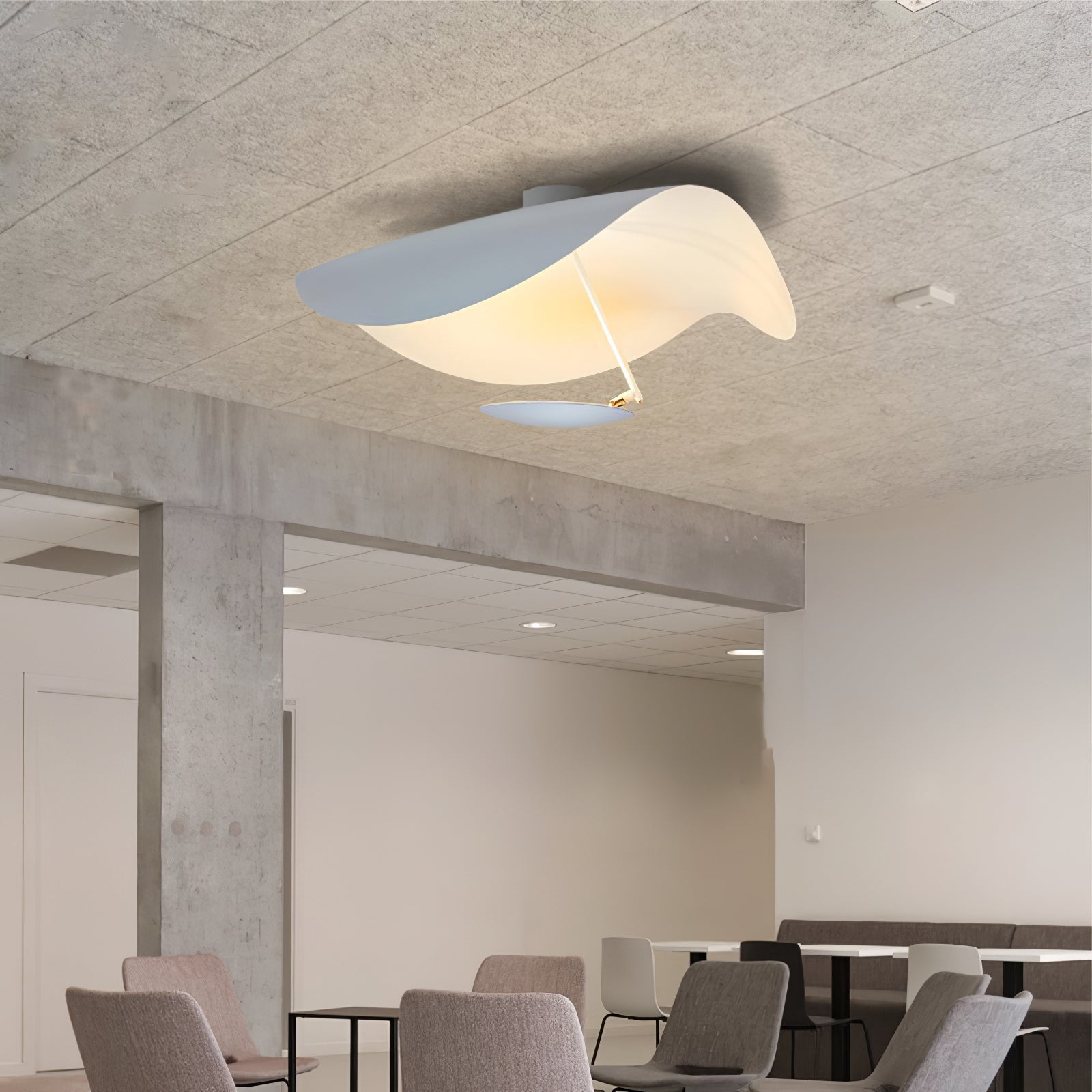 Georgoa Ceiling Light