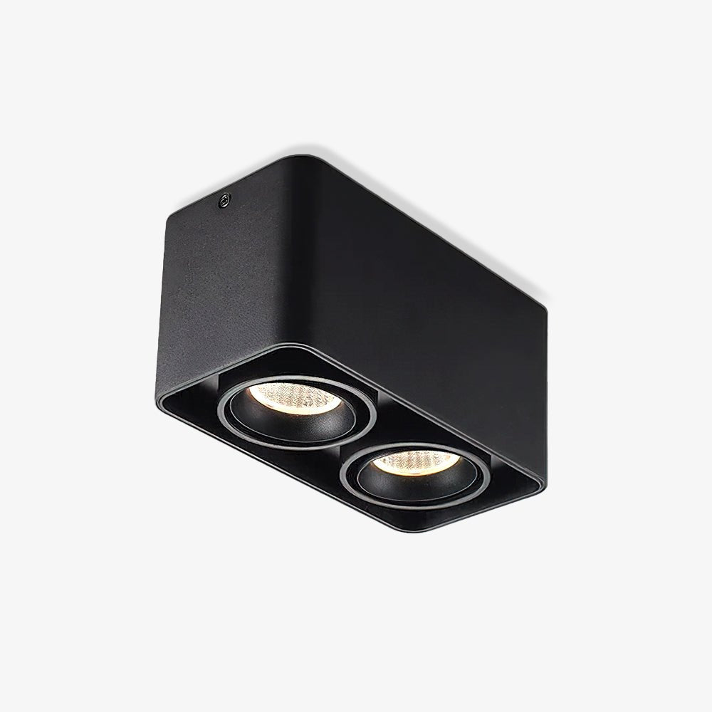Dolzor Ceiling Light