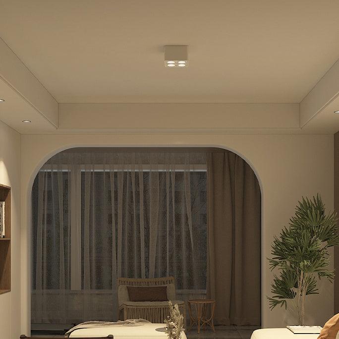 Dolzor Ceiling Light