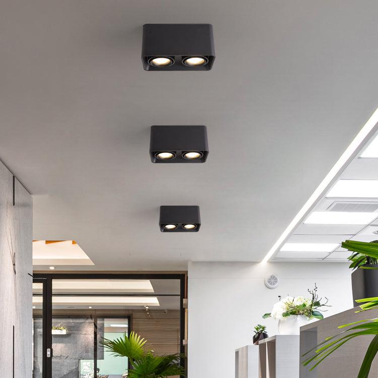 Dolzor Ceiling Light