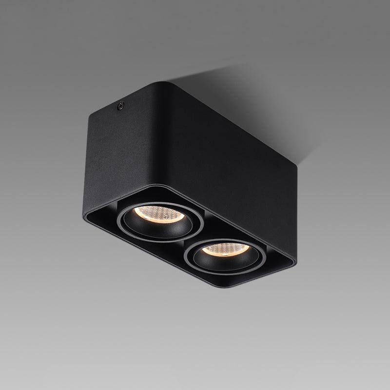 Dolzor Ceiling Light