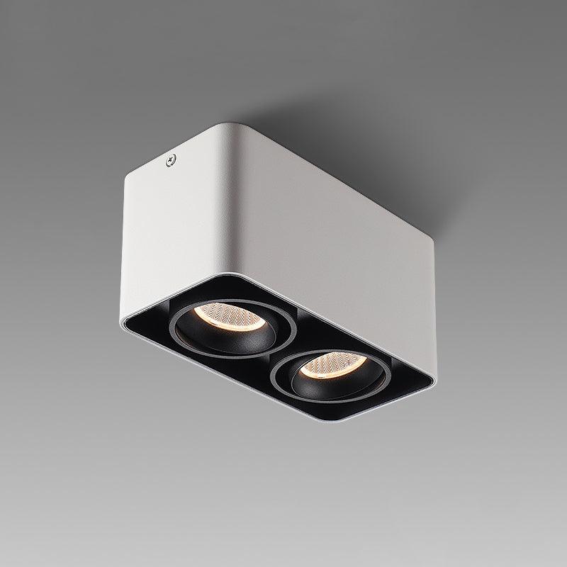 Dolzor Ceiling Light