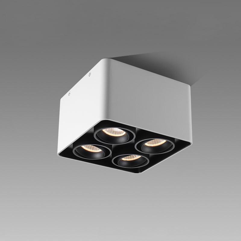 Dolzor Ceiling Light