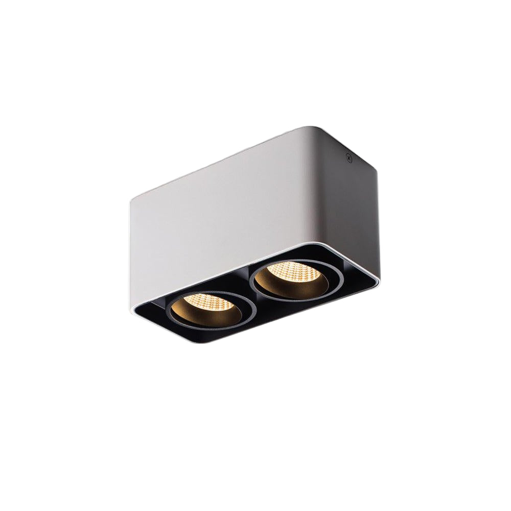 Dolzor Ceiling Light