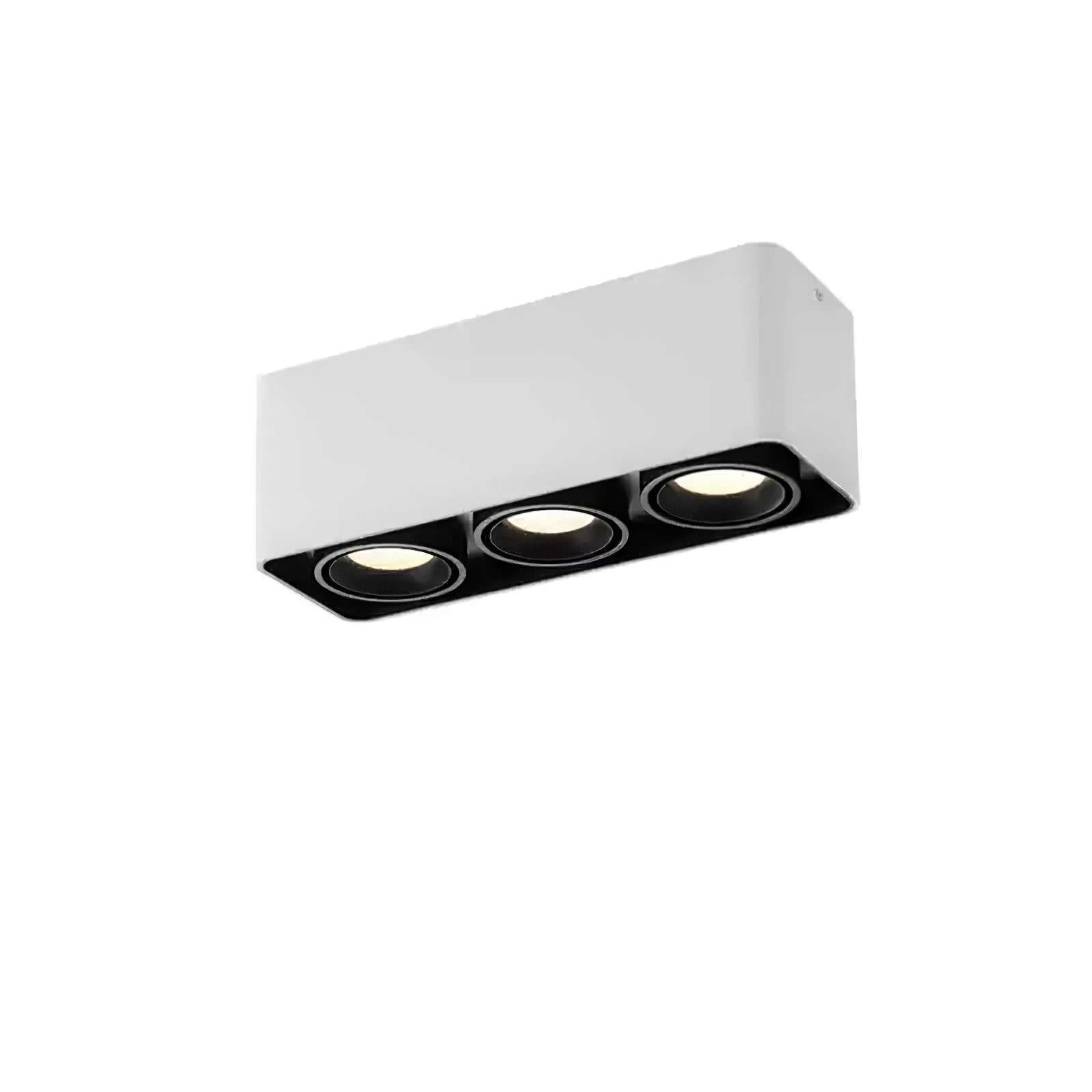 Dolzor Ceiling Light