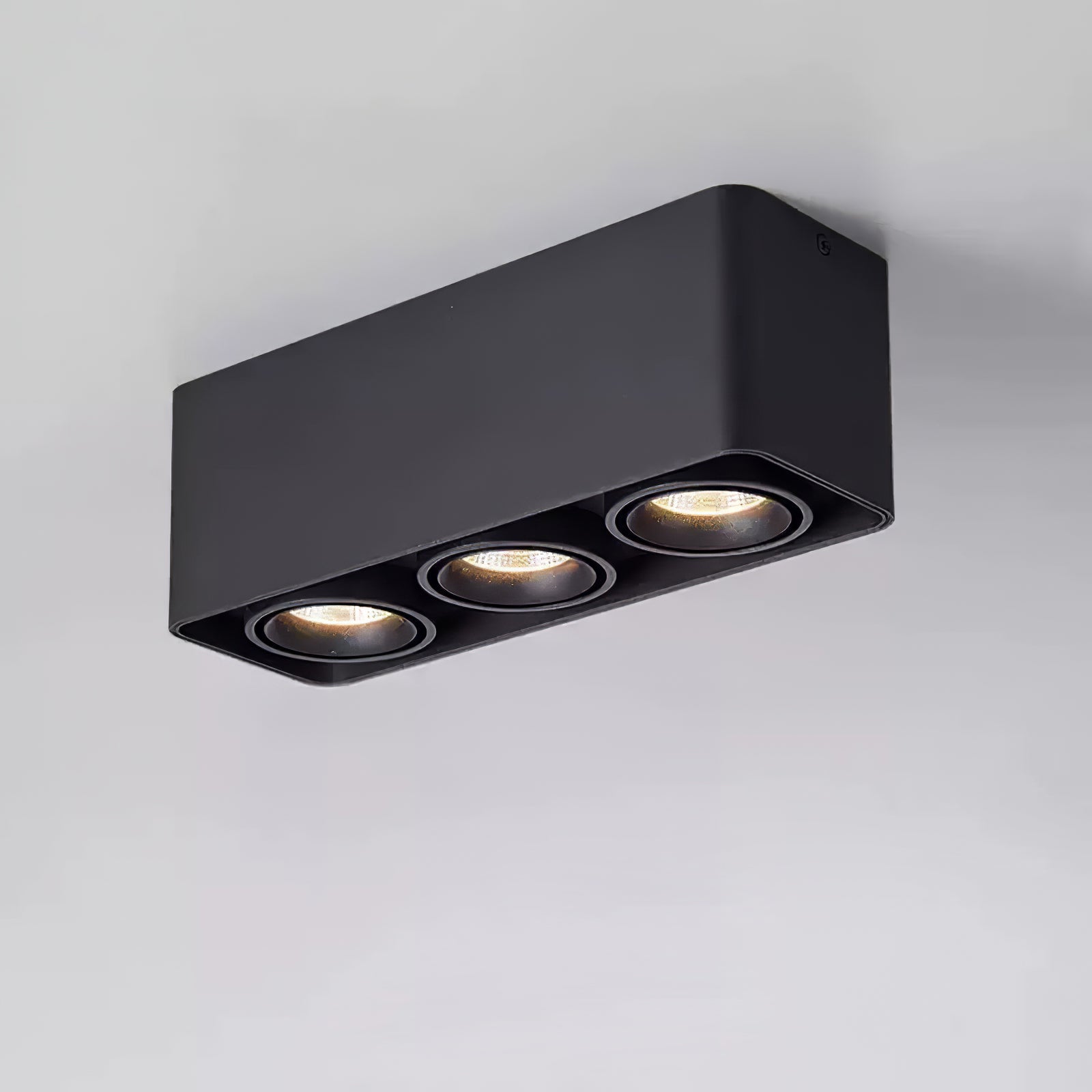 Dolzor Ceiling Light