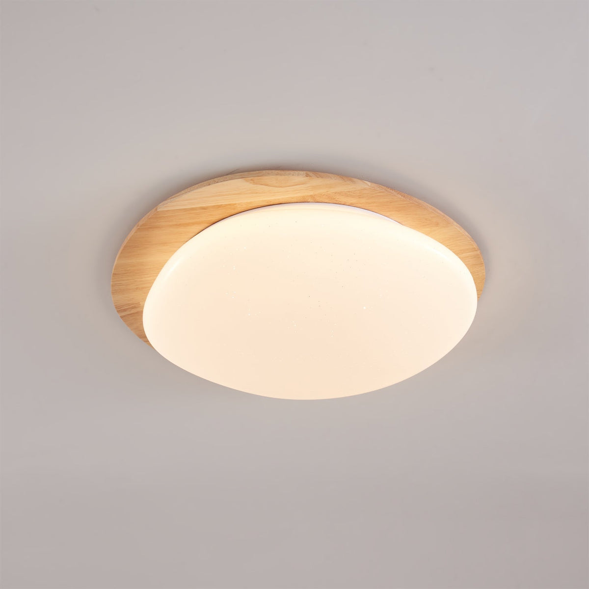 Emburn Oval Ceiling Light