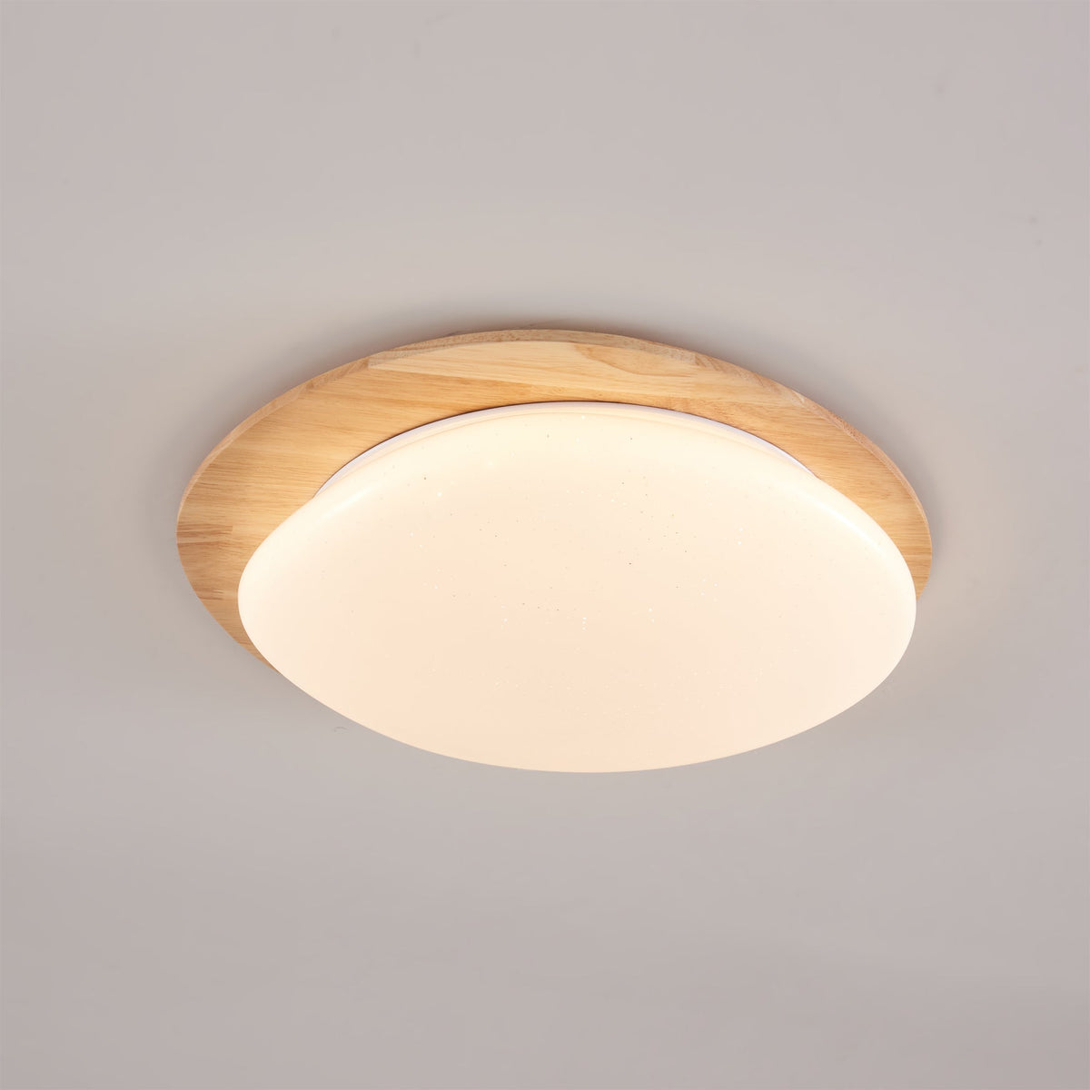 Emburn Oval Ceiling Light