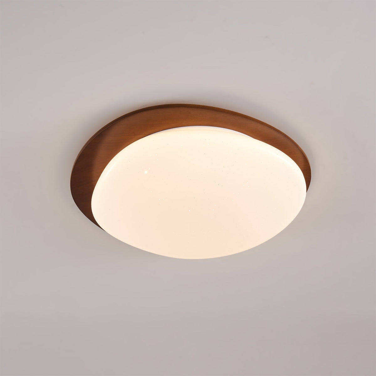 Emburn Oval Ceiling Light