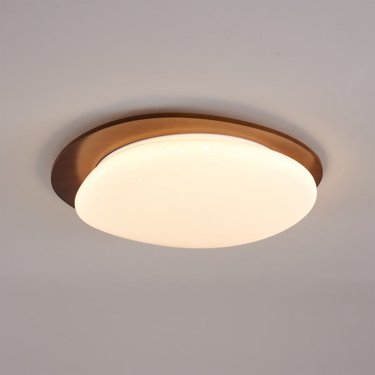 Emburn Oval Ceiling Light