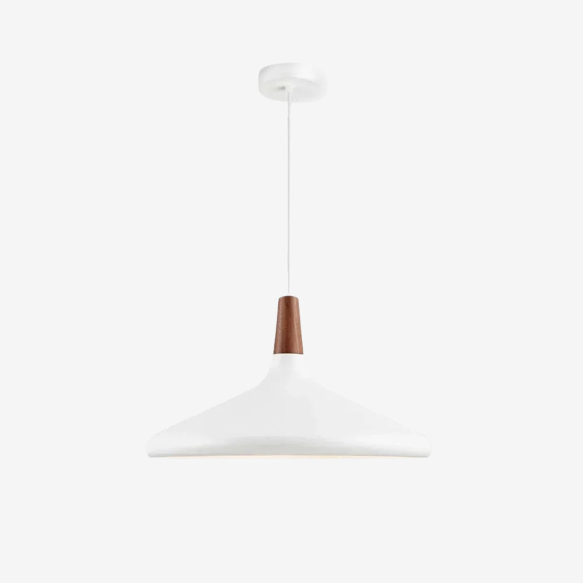 Paxden Cone Pendant Light