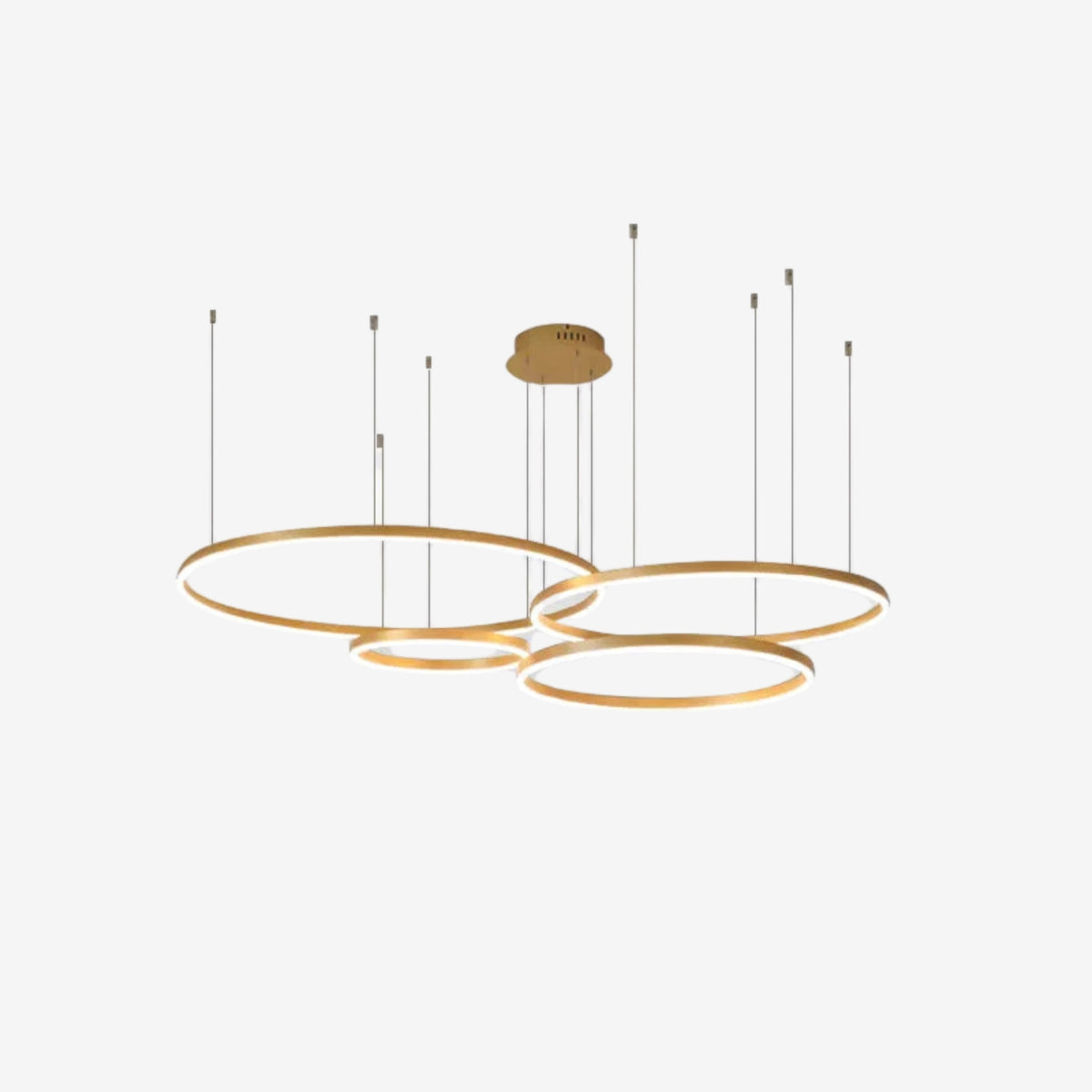 Lorenna Ring Pendant Light