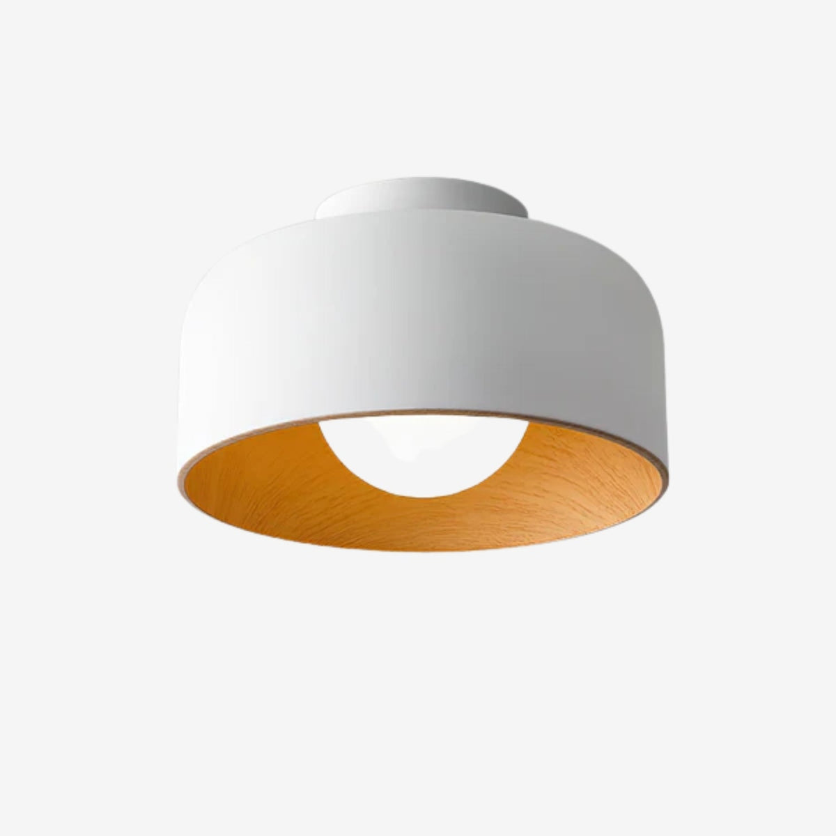 Greleyo Globe Ceiling Light