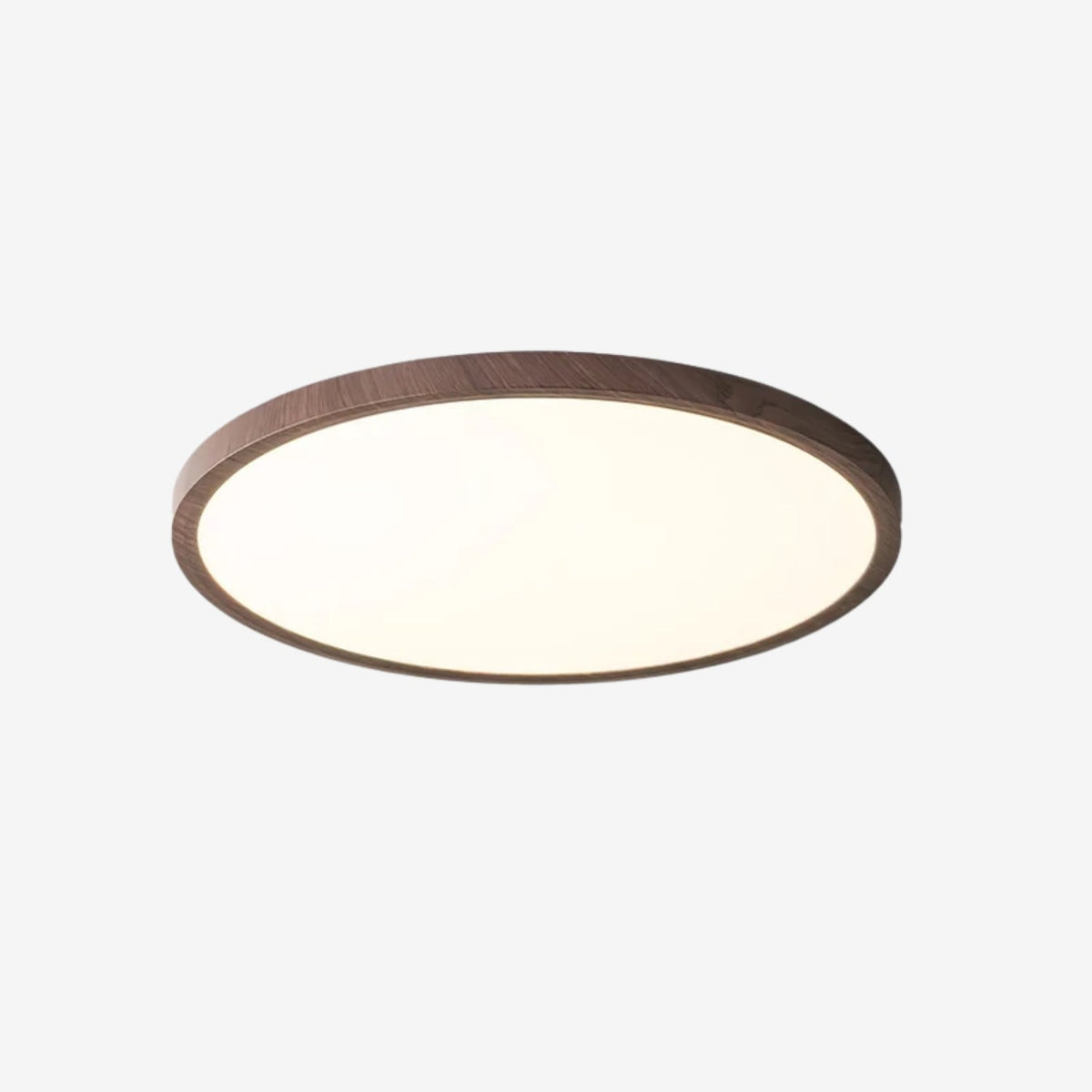 Arinoro Round Ceiling Light