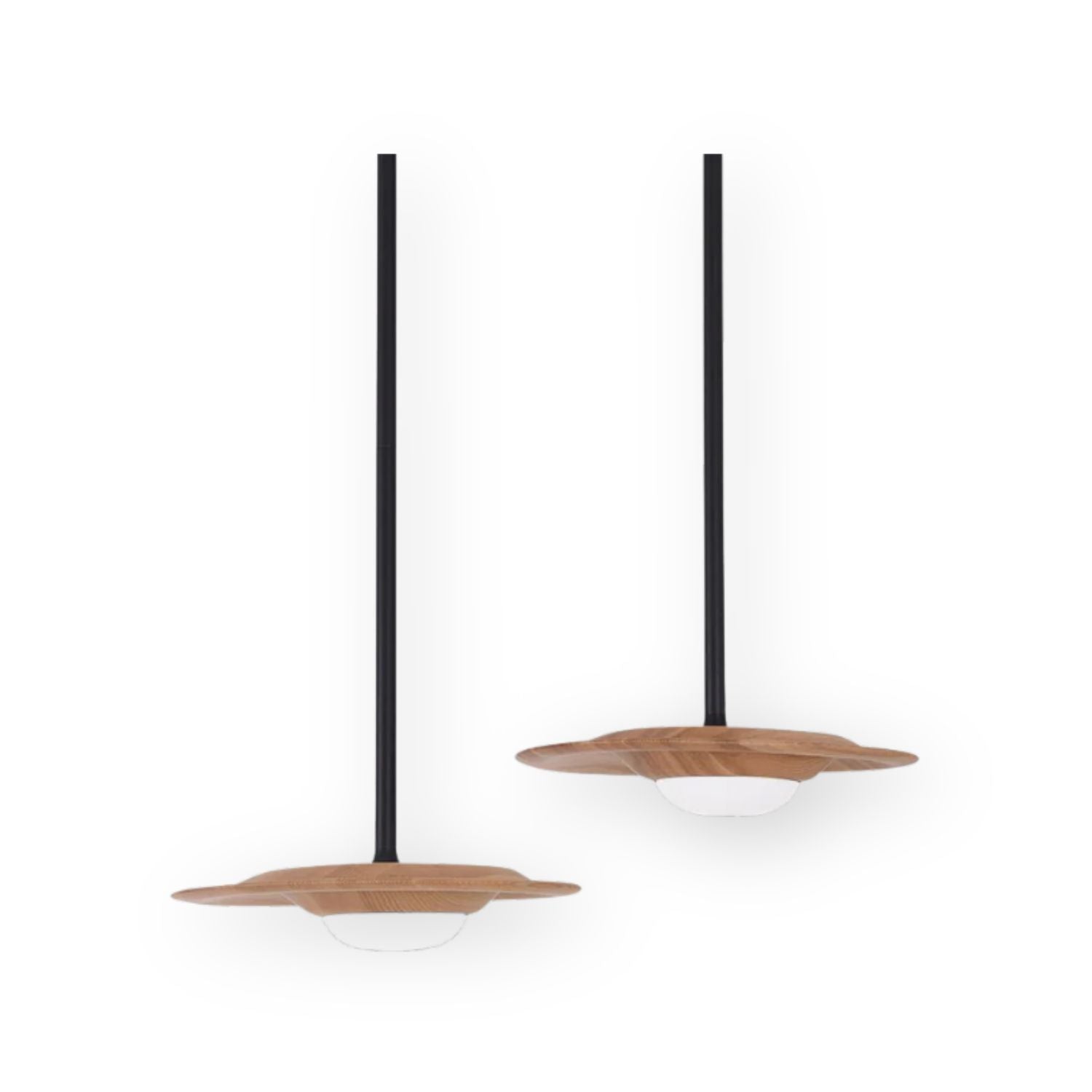 Haevesca Pendant Light