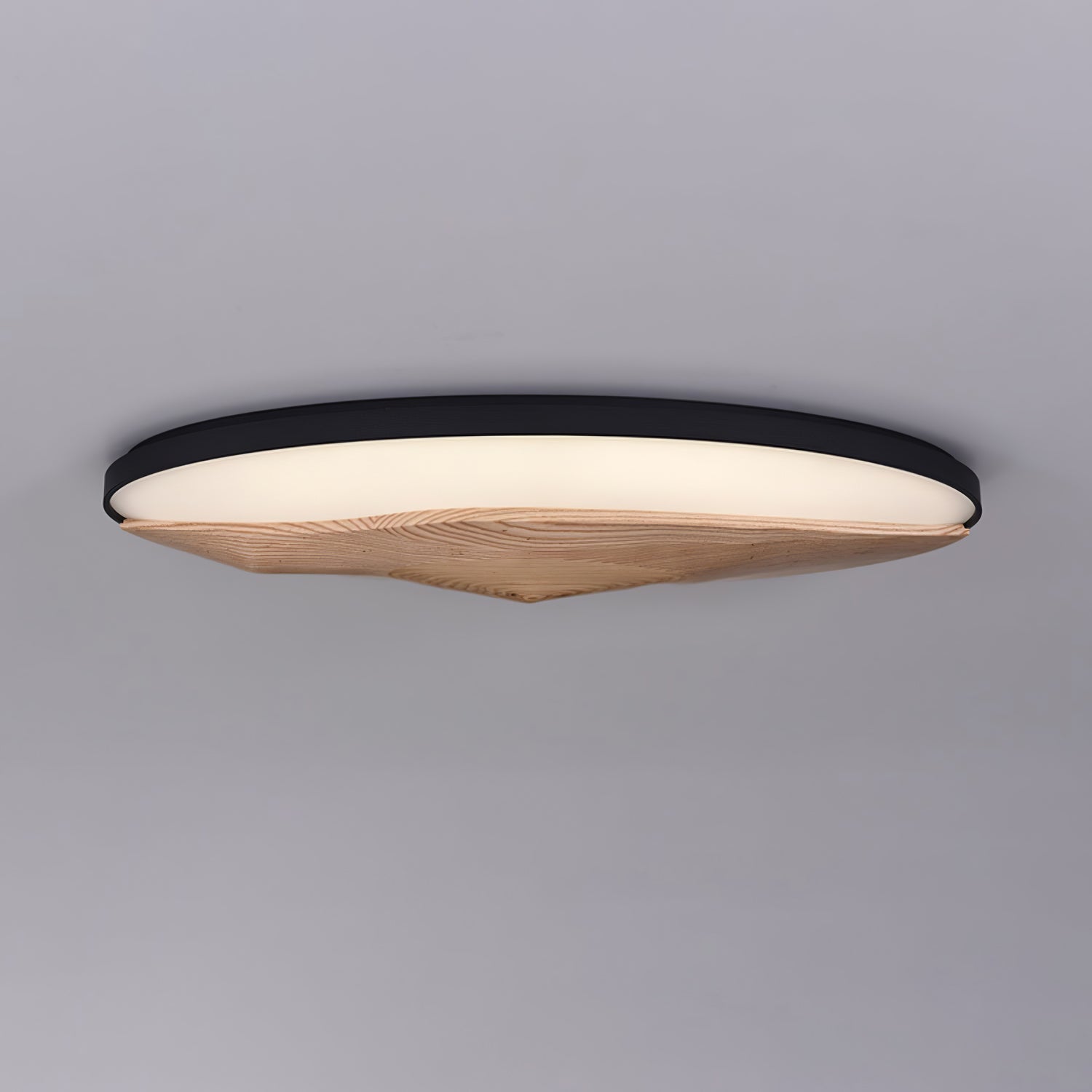 Geo Landscape Ceiling Light