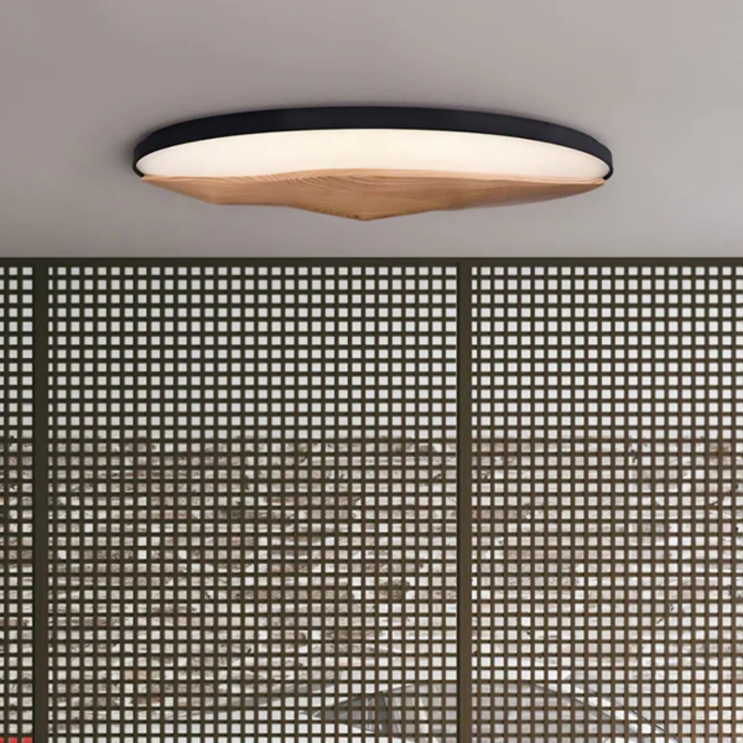 Geo Landscape Ceiling Light