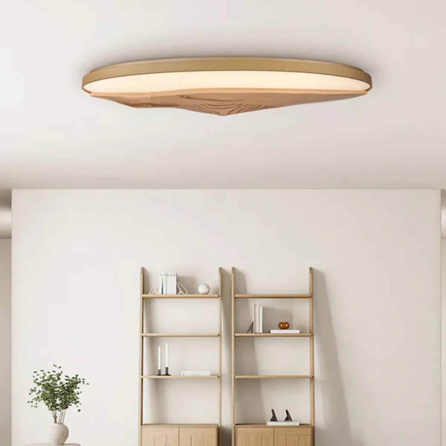 Geo Landscape Ceiling Light