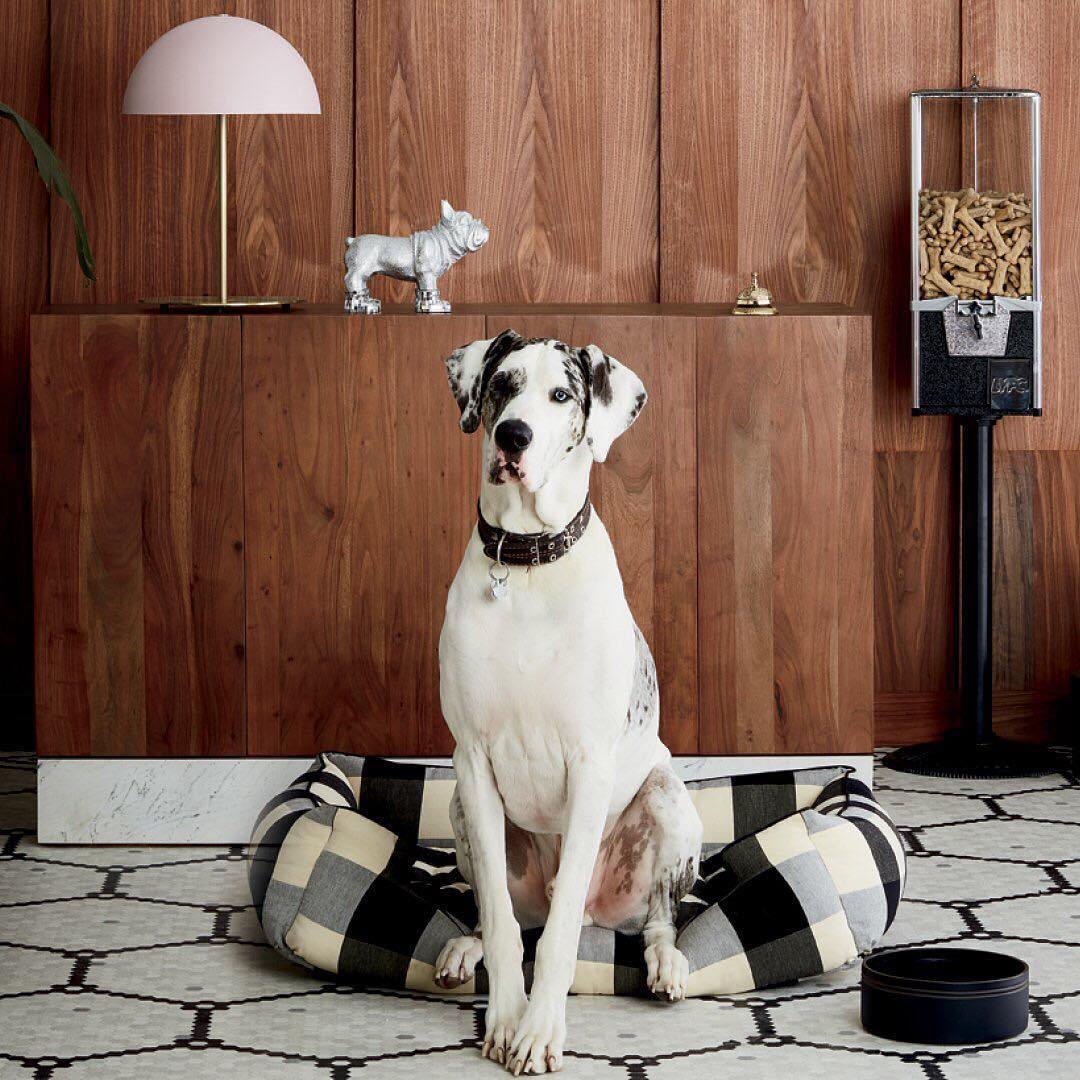 Bravon Table Lamp