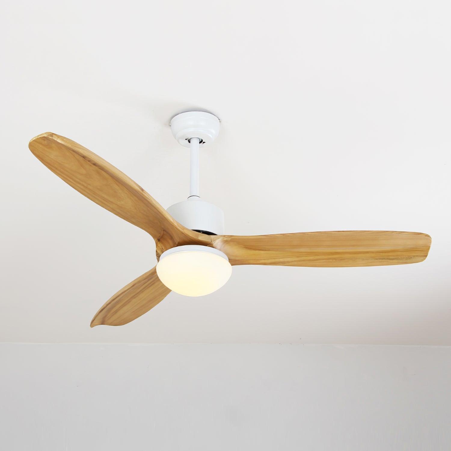 Barhoug LED Ceiling Fan